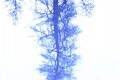 reflet 3